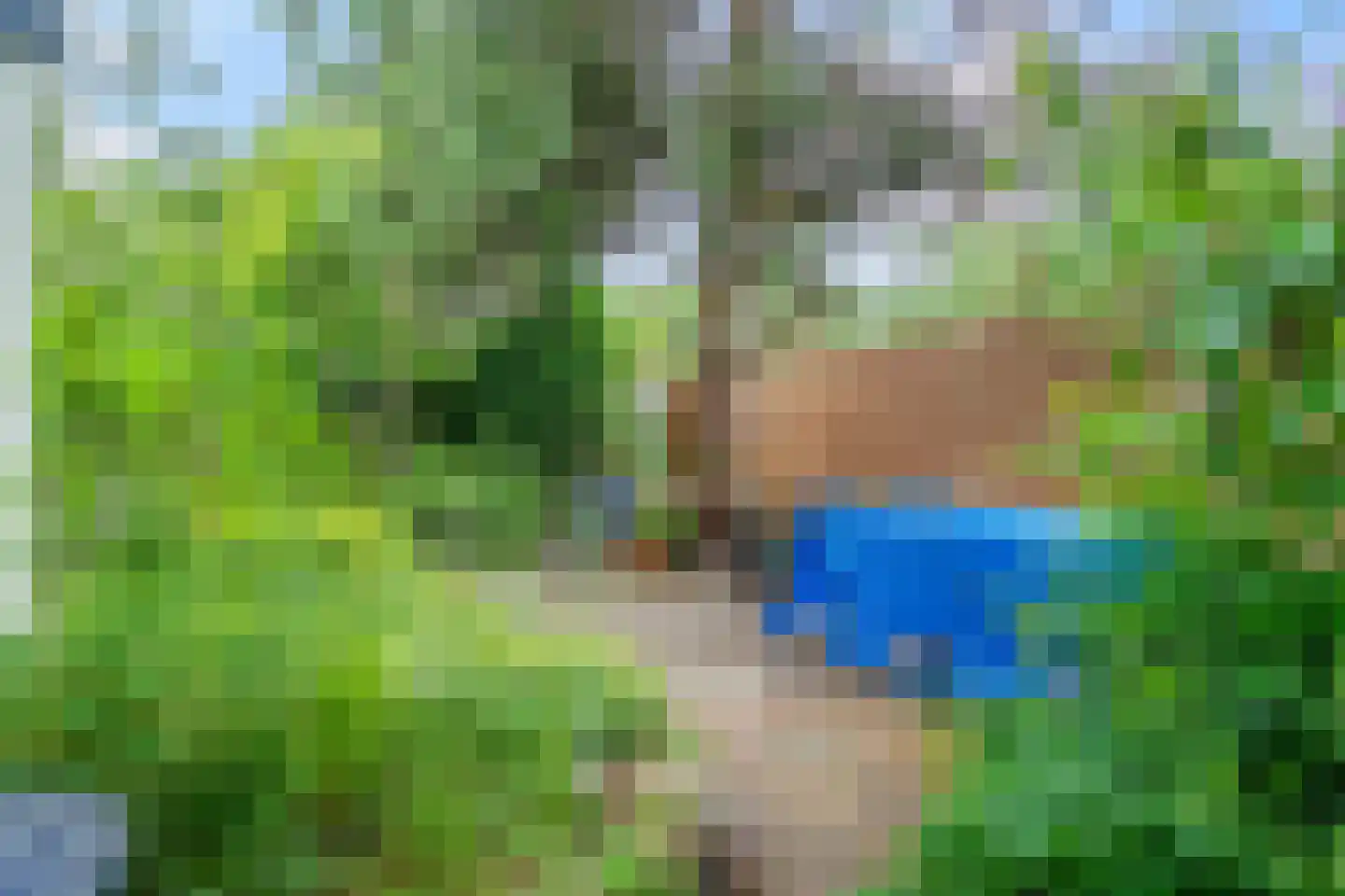 Stadhouderslaan 42 Hilversum thumbnail 22