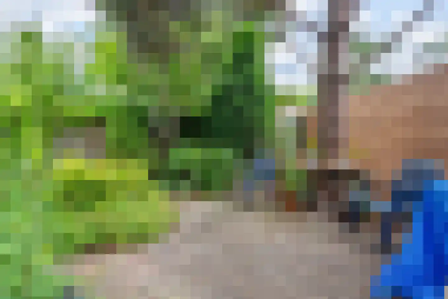Stadhouderslaan 42 Hilversum thumbnail 23