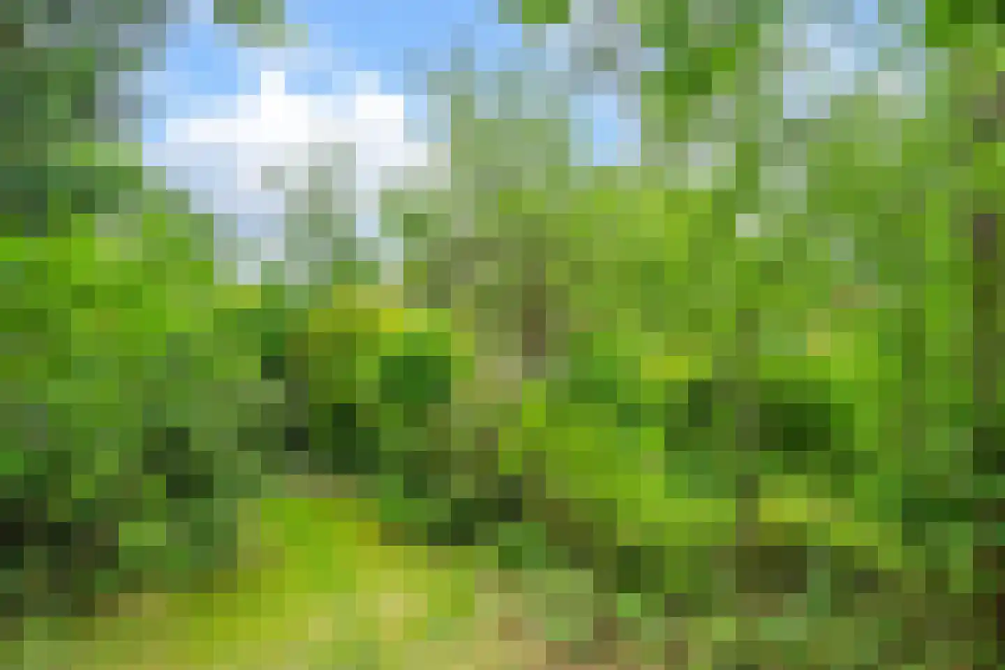 Stadhouderslaan 42 Hilversum thumbnail 24