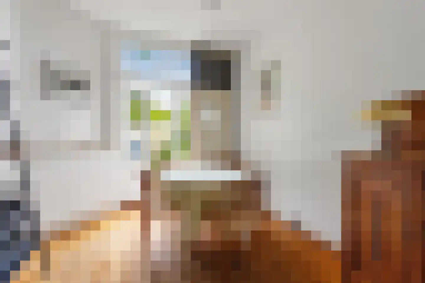Stadhouderslaan 42 Hilversum thumbnail 7