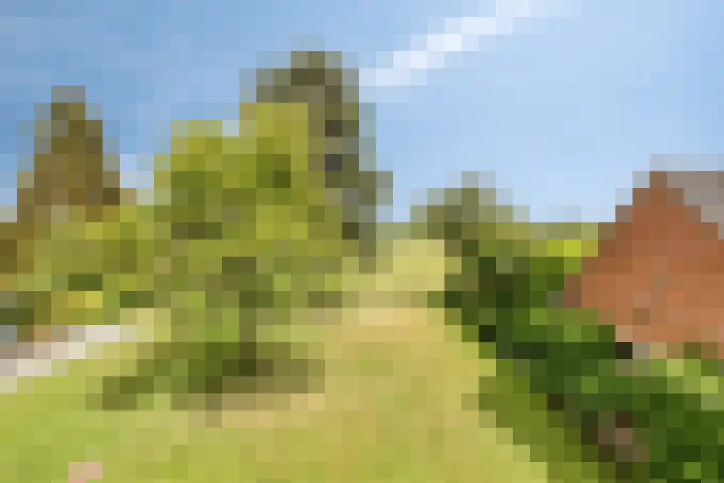 Stadhouderslaan 42 Soest thumbnail 30