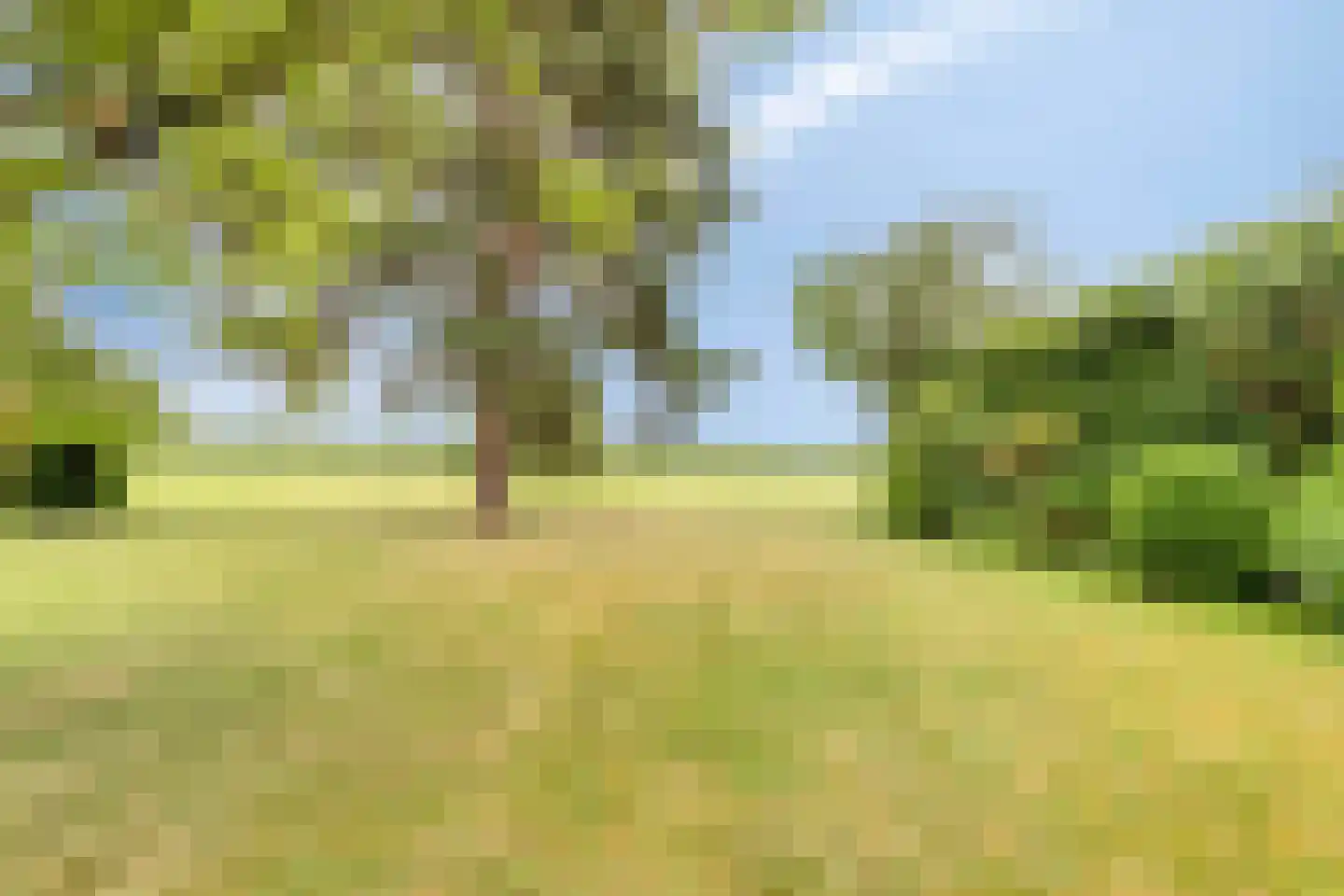 Stadhouderslaan 42 Soest thumbnail 38