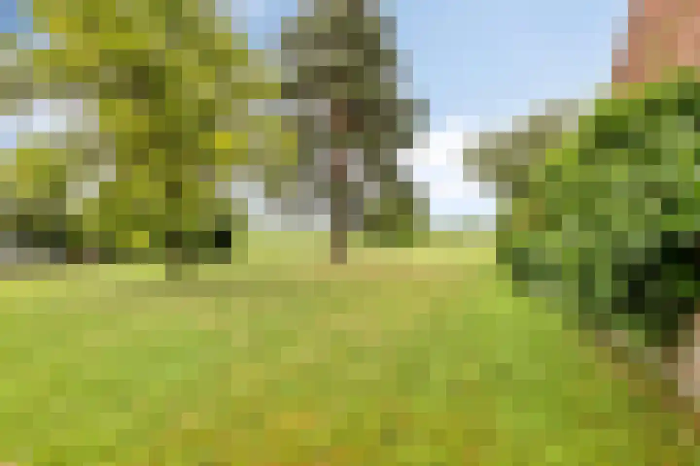 Stadhouderslaan 42 Soest thumbnail 39