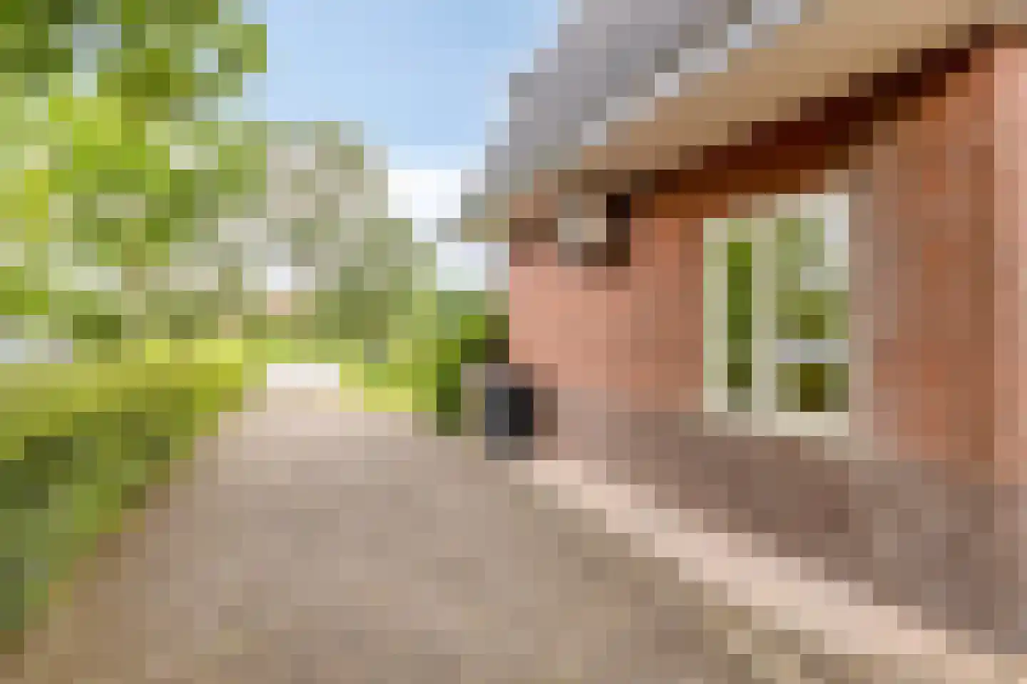 Stadhouderslaan 42 Soest thumbnail 48