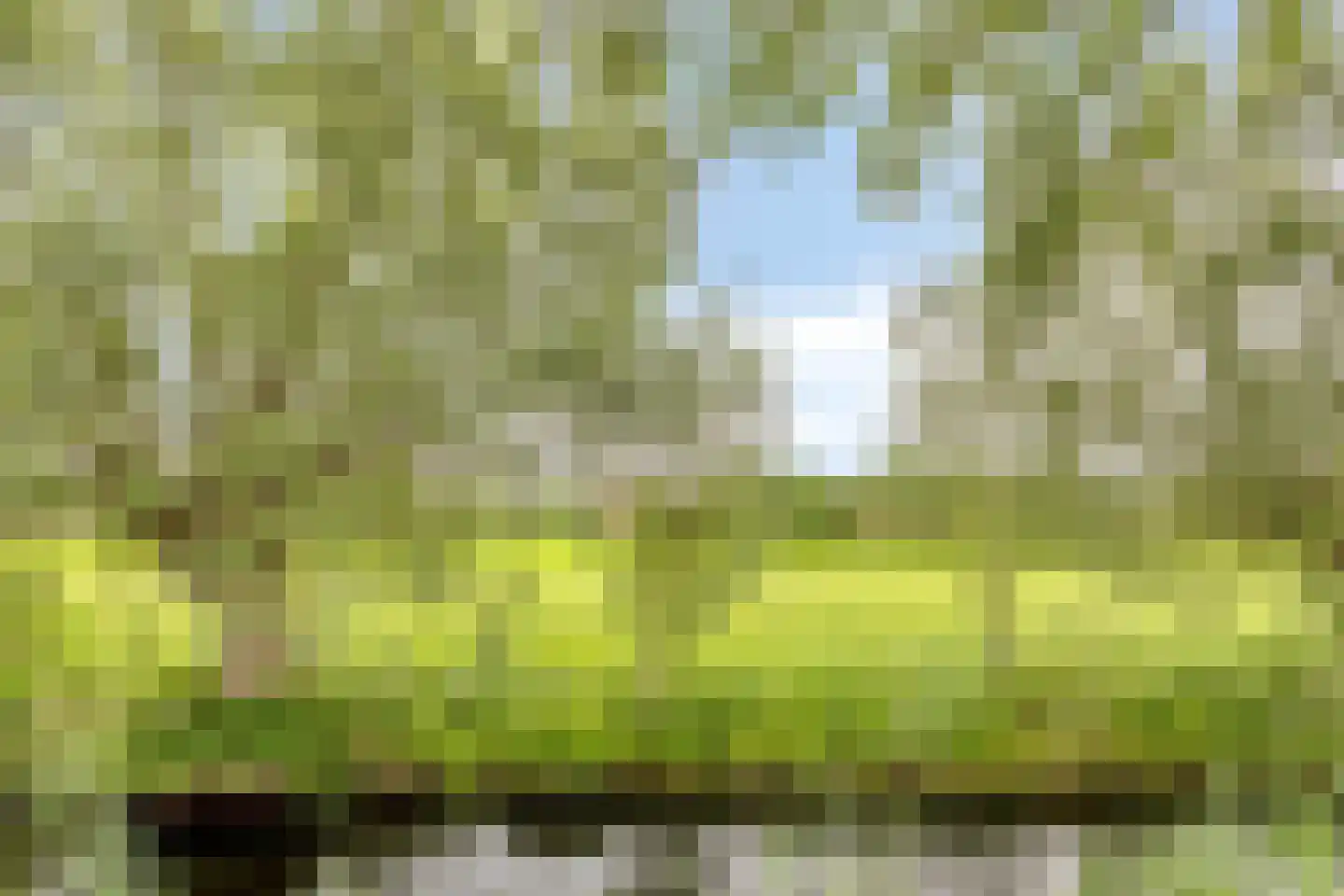 Stadhouderslaan 42 Soest thumbnail 49