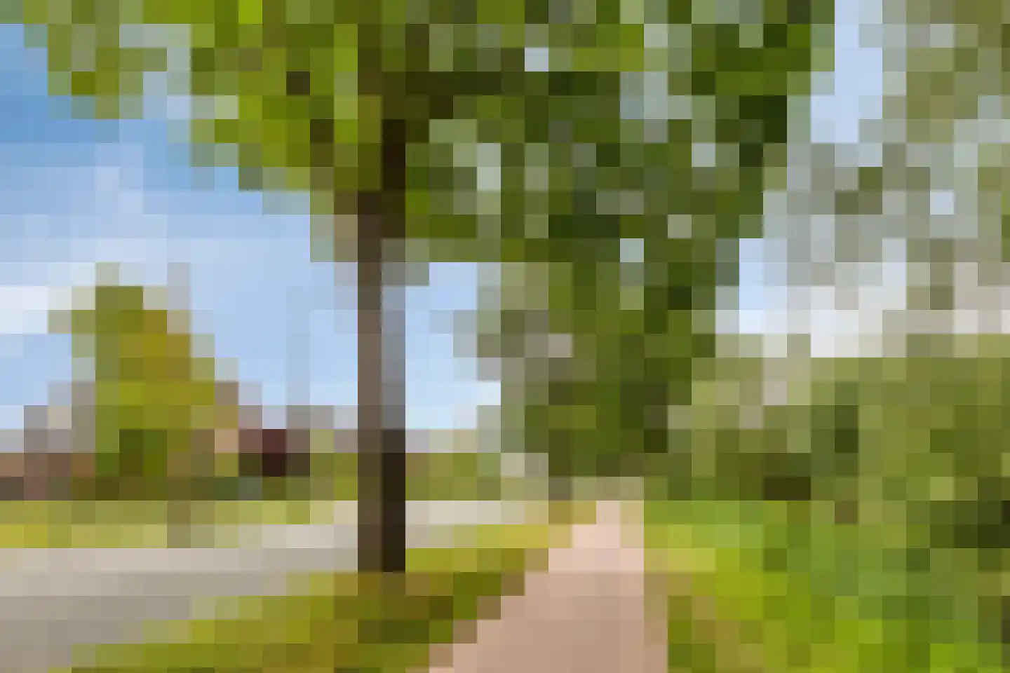 Stadhouderslaan 42 Soest thumbnail 50