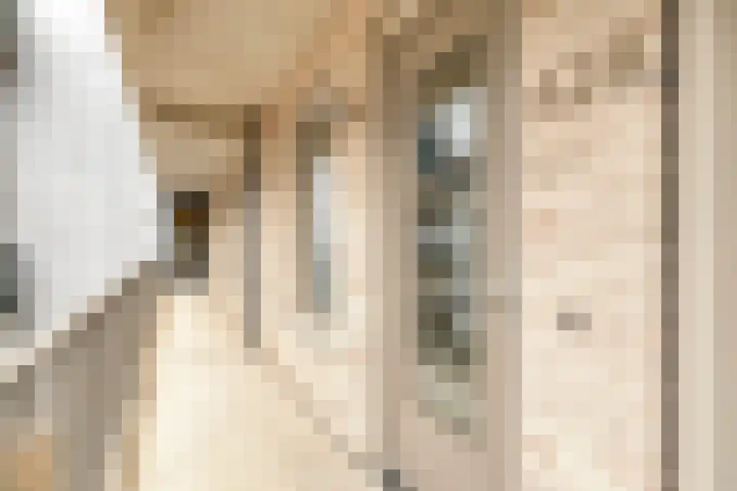 Stadhouderslaan 428 Zoeterwoude thumbnail 4