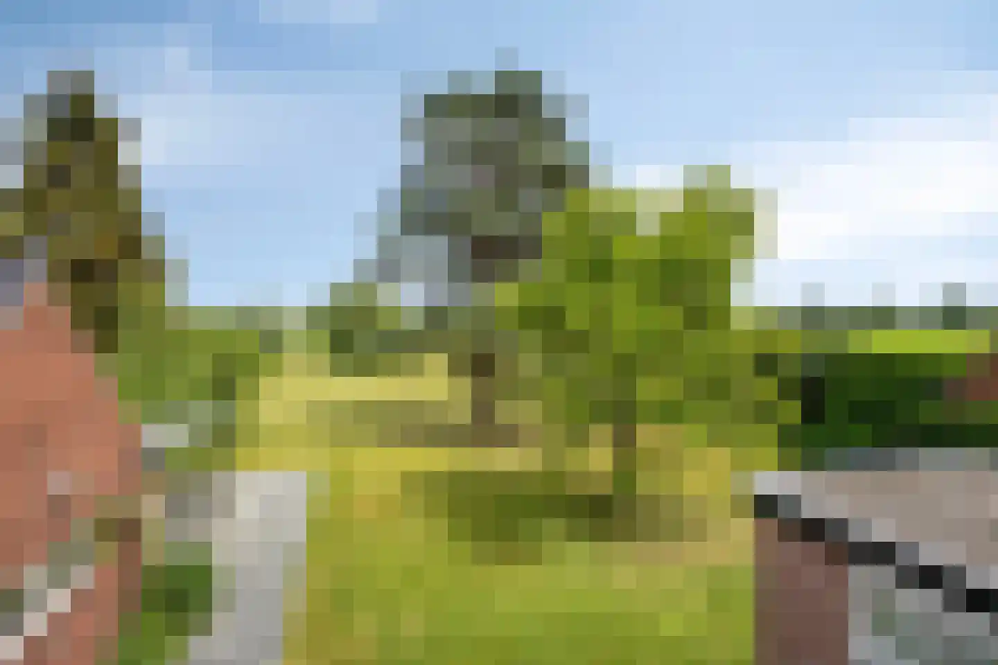 Stadhouderslaan 44 Soest thumbnail 23