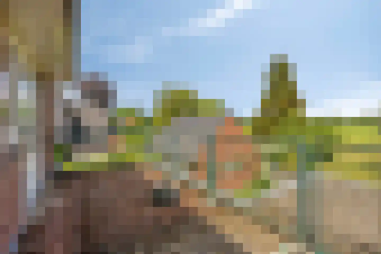 Stadhouderslaan 44 Soest thumbnail 24