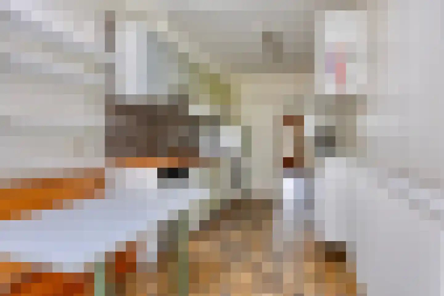 Stadhouderslaan 44 Soest thumbnail 8