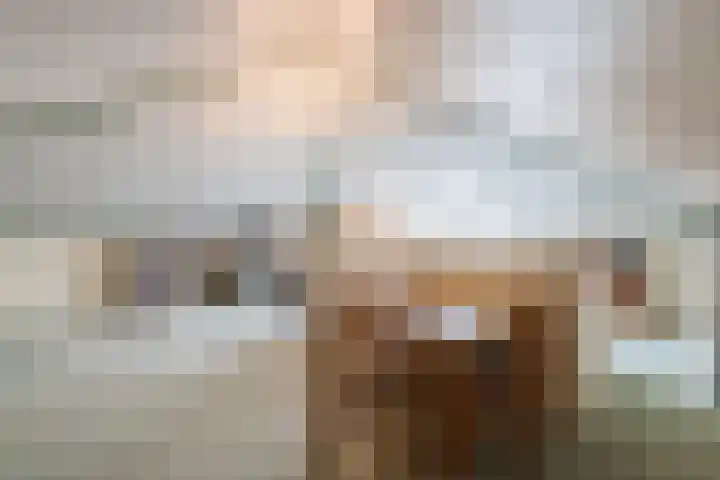 Stadhouderslaan 46 Oosterhout thumbnail 36