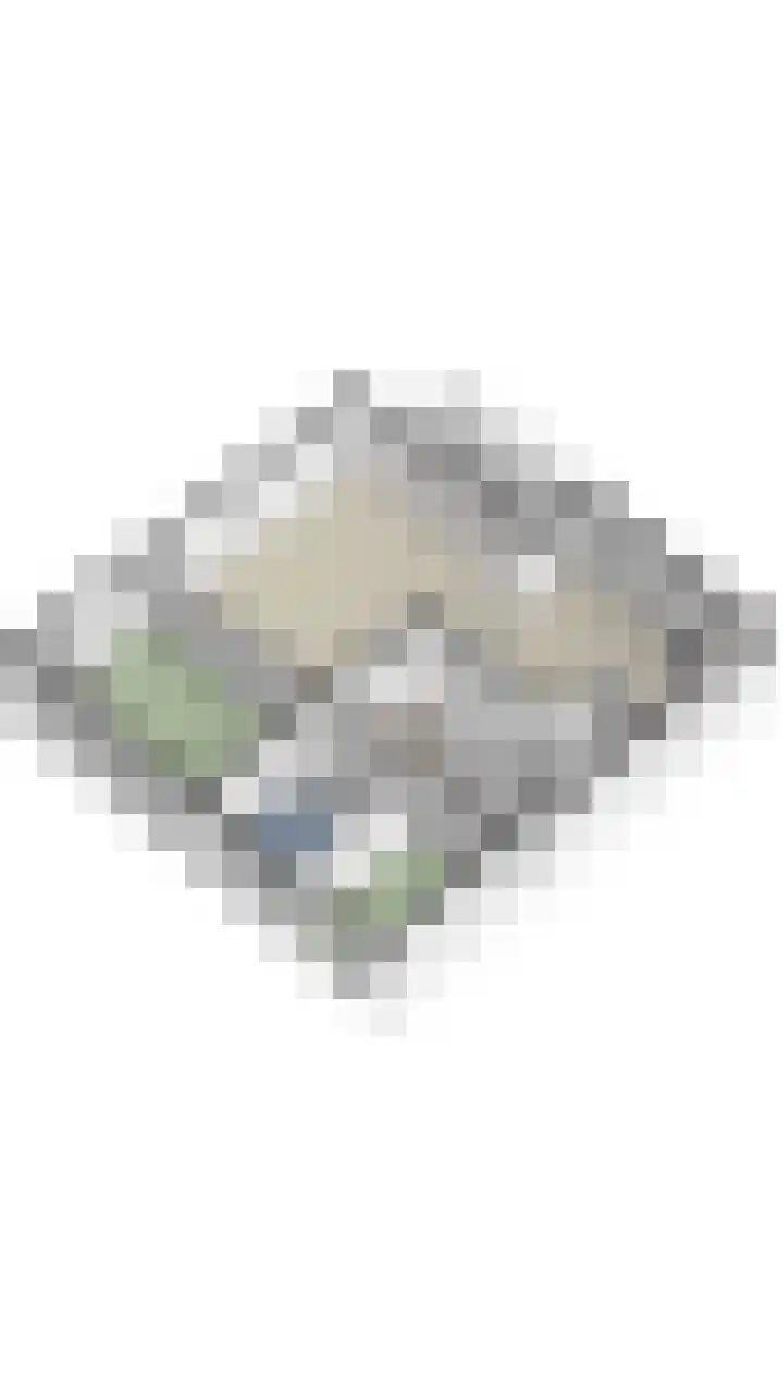 Stadhouderslaan 46 Oosterhout thumbnail 53