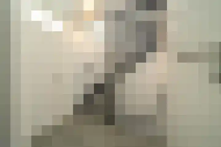 Stadhouderslaan 48 Montfoort thumbnail 31