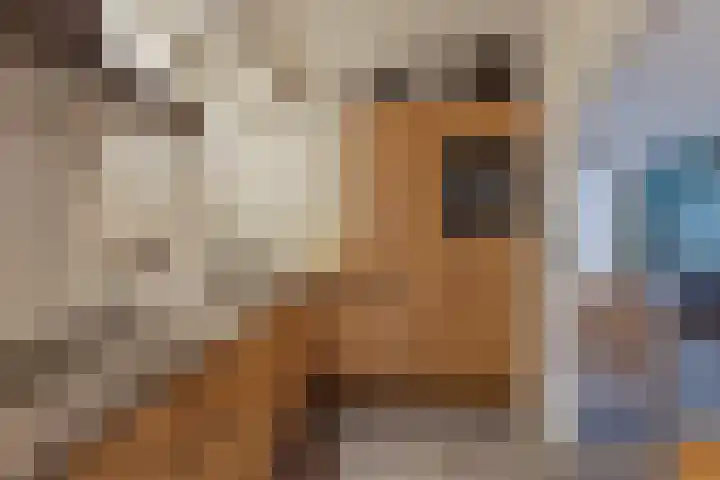 Stadhouderslaan 49 Middelburg thumbnail 17