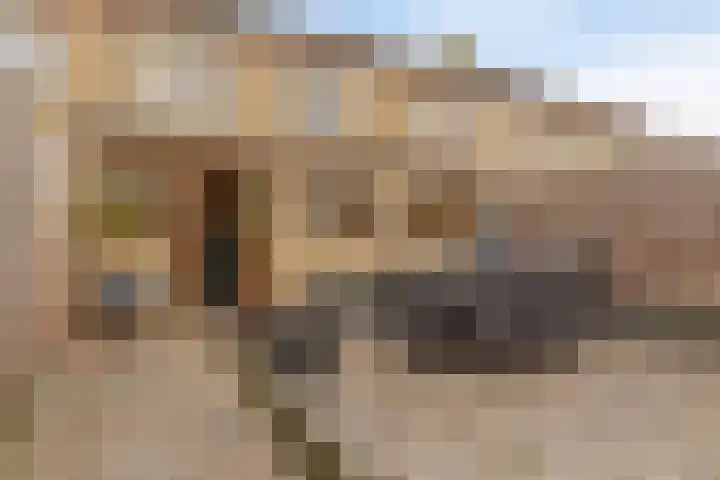 Stadhouderslaan 49 Middelburg thumbnail 42