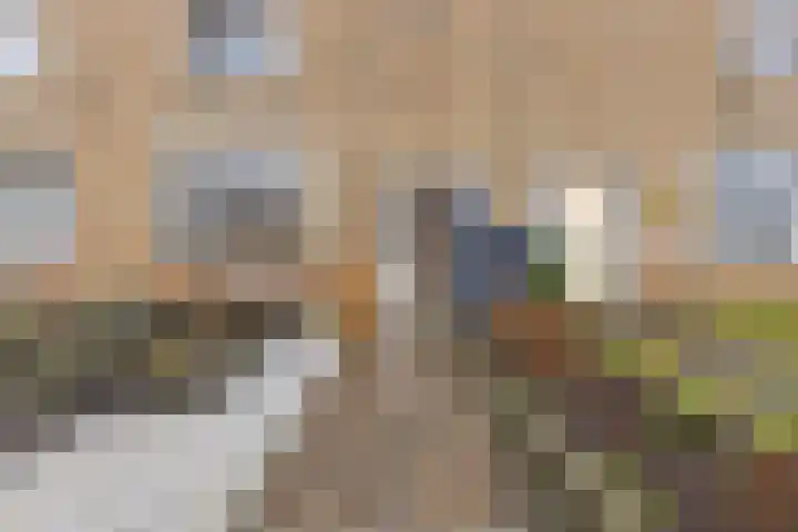 Stadhouderslaan 49 Middelburg thumbnail 5