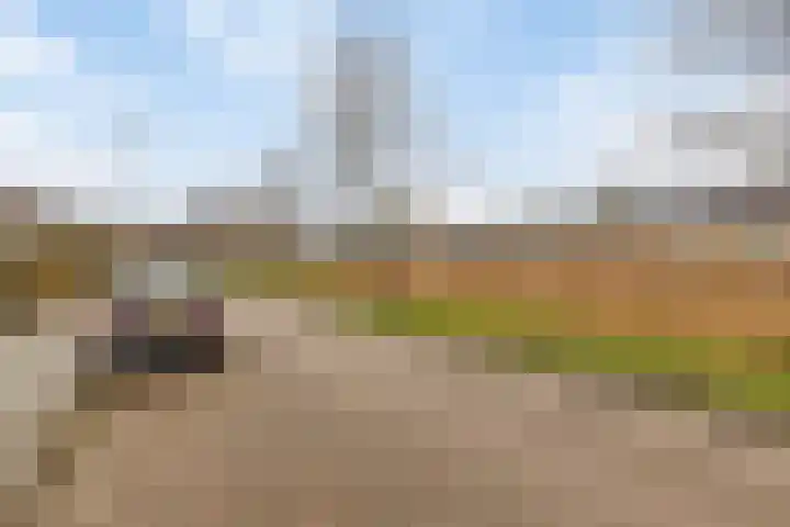 Stadhouderslaan 49 Middelburg thumbnail 51