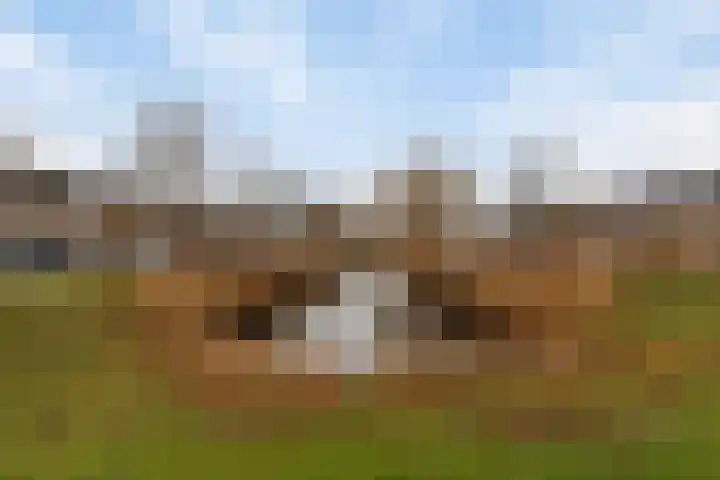 Stadhouderslaan 49 Middelburg thumbnail 53