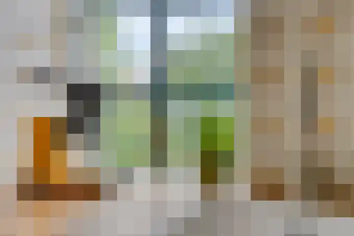 Stadhouderslaan 5 a Groningen thumbnail 10