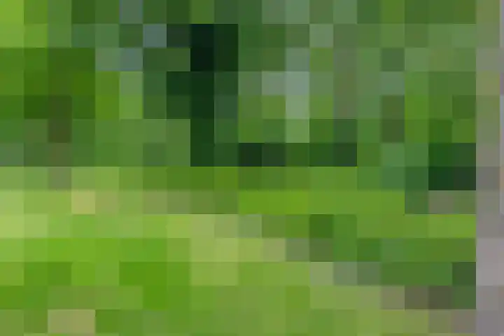 Stadhouderslaan 5 a Groningen thumbnail 27