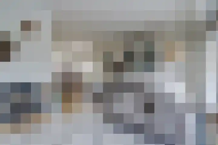 Stadhouderslaan 5 Goes thumbnail 10