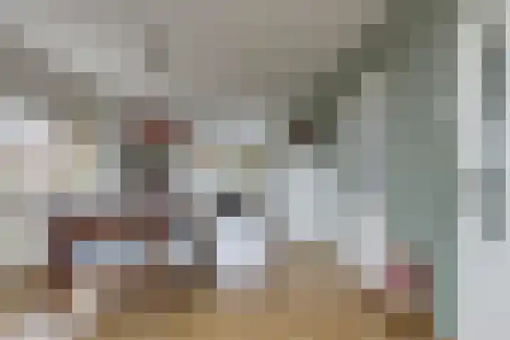 Stadhouderslaan 5 Goes thumbnail 14