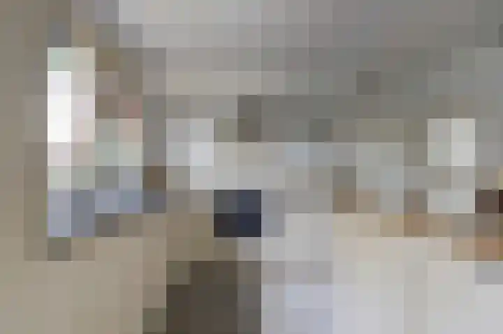 Stadhouderslaan 5 Goes thumbnail 15