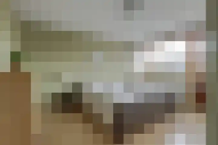 Stadhouderslaan 5 Goes thumbnail 22