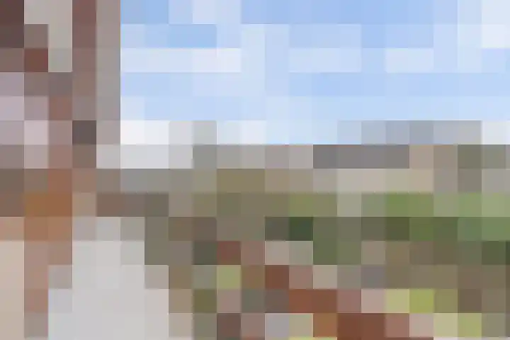 Stadhouderslaan 5 Goes thumbnail 42
