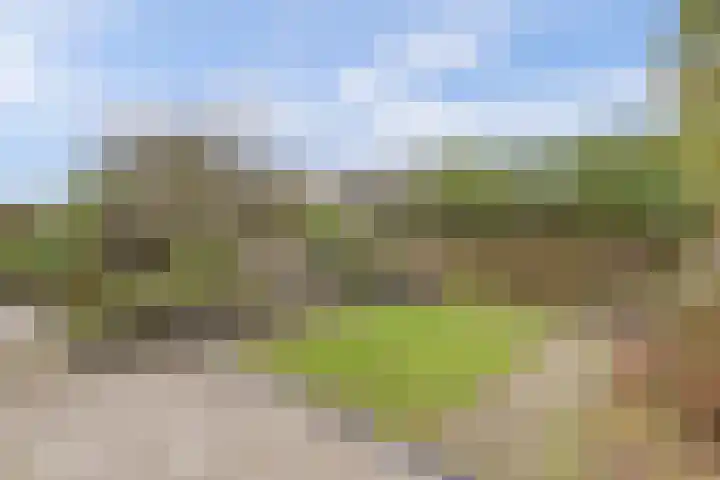 Stadhouderslaan 5 Goes thumbnail 44