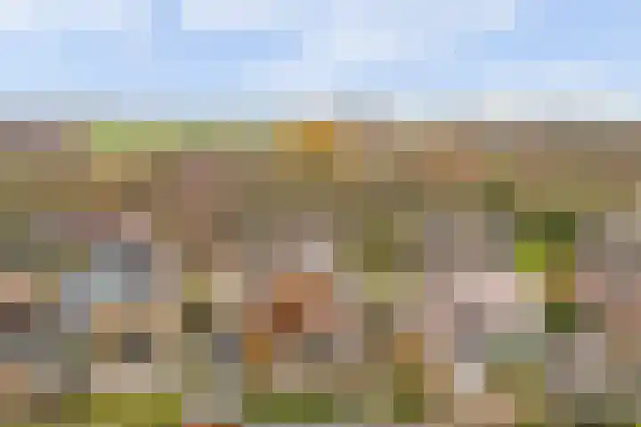 Stadhouderslaan 5 Goes thumbnail 49