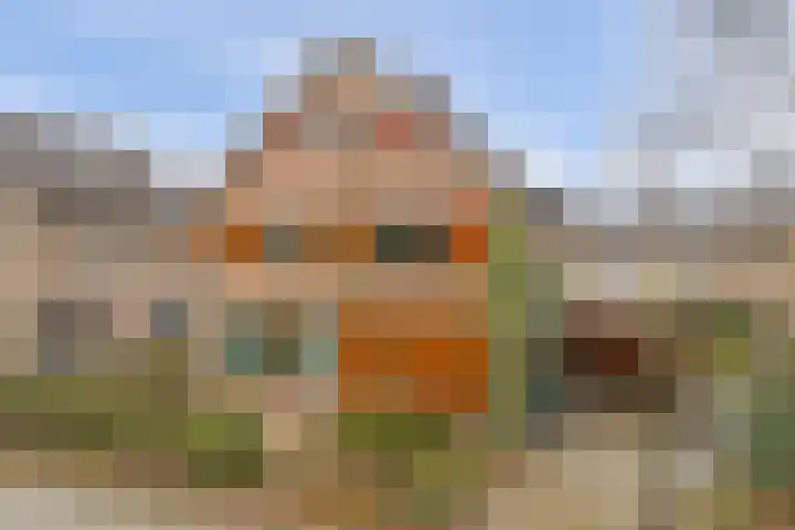 Stadhouderslaan 5 Goes thumbnail 52