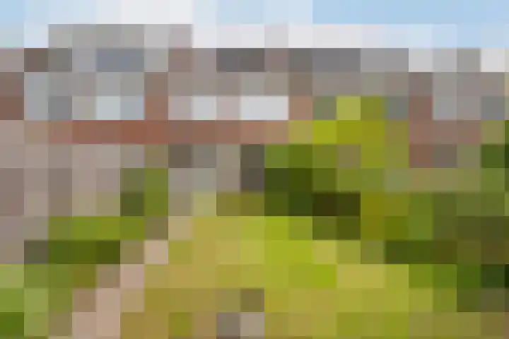 Stadhouderslaan 50 Vlaardingen thumbnail 20