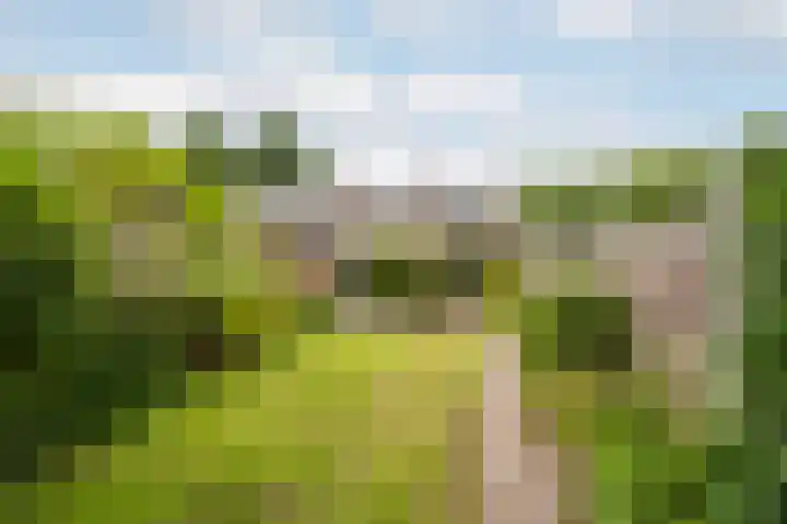 Stadhouderslaan 50 Vlaardingen thumbnail 4