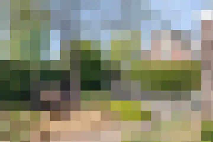 Stadhouderslaan 50 Wolvega thumbnail 26