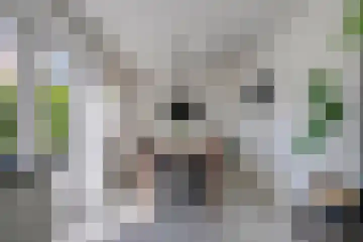 Stadhouderslaan 50 Wolvega thumbnail 8