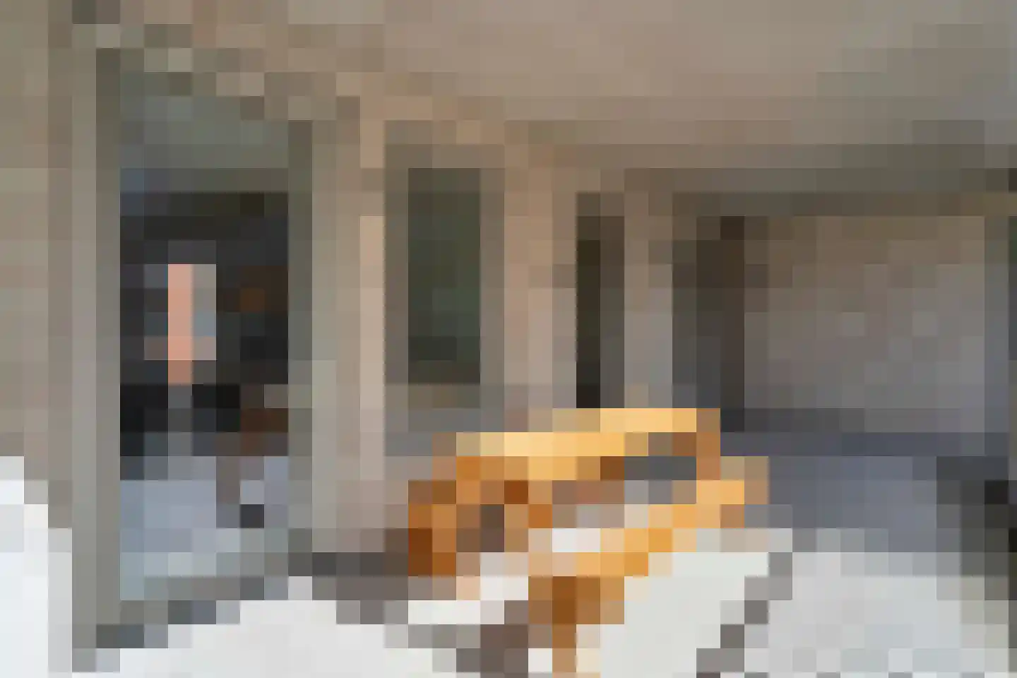 Stadhouderslaan 509 Zoeterwoude thumbnail 7