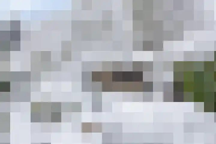 Stadhouderslaan 51 Soest thumbnail 34