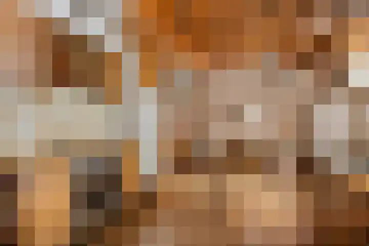 Stadhouderslaan 51 Soest thumbnail 8