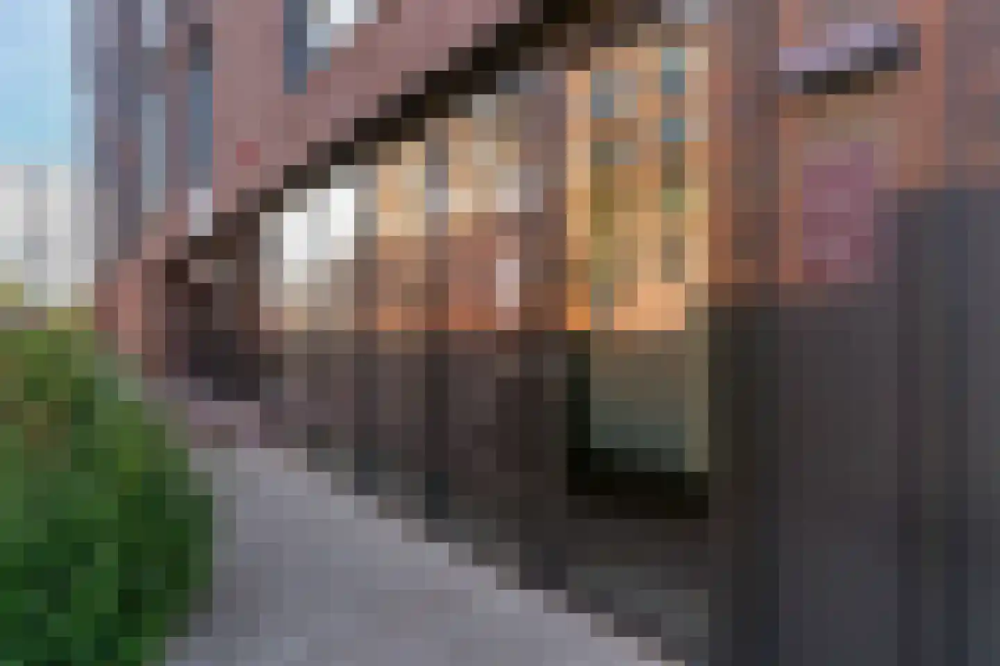 Stadhouderslaan 512 Zoeterwoude thumbnail 10