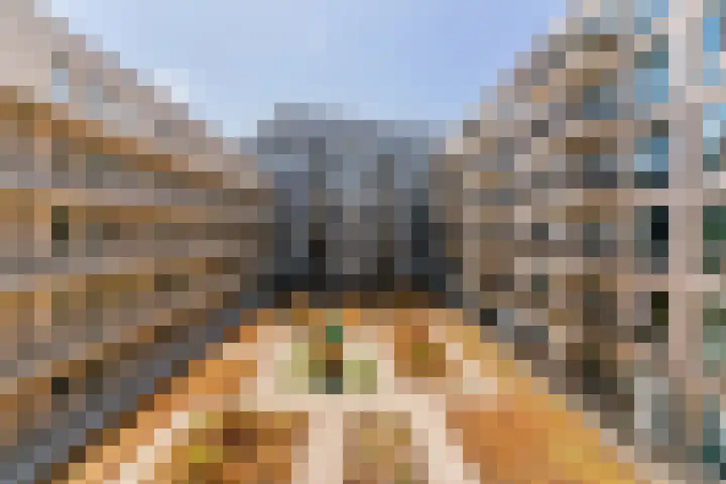 Stadhouderslaan 512 Zoeterwoude thumbnail 11