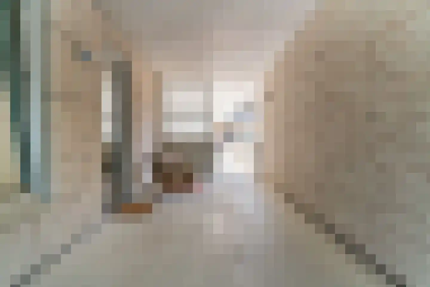 Stadhouderslaan 512 Zoeterwoude thumbnail 13