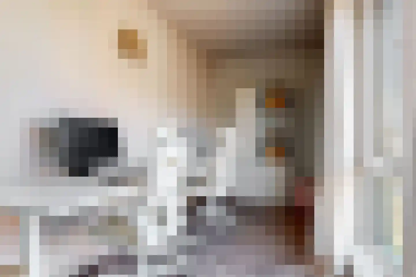 Stadhouderslaan 512 Zoeterwoude thumbnail 23