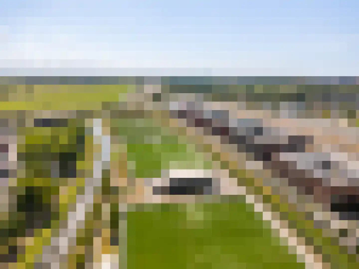 Stadhouderslaan 512 Zoeterwoude thumbnail 38