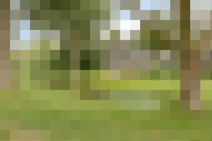 Stadhouderslaan 52 Hoogezand thumbnail 36