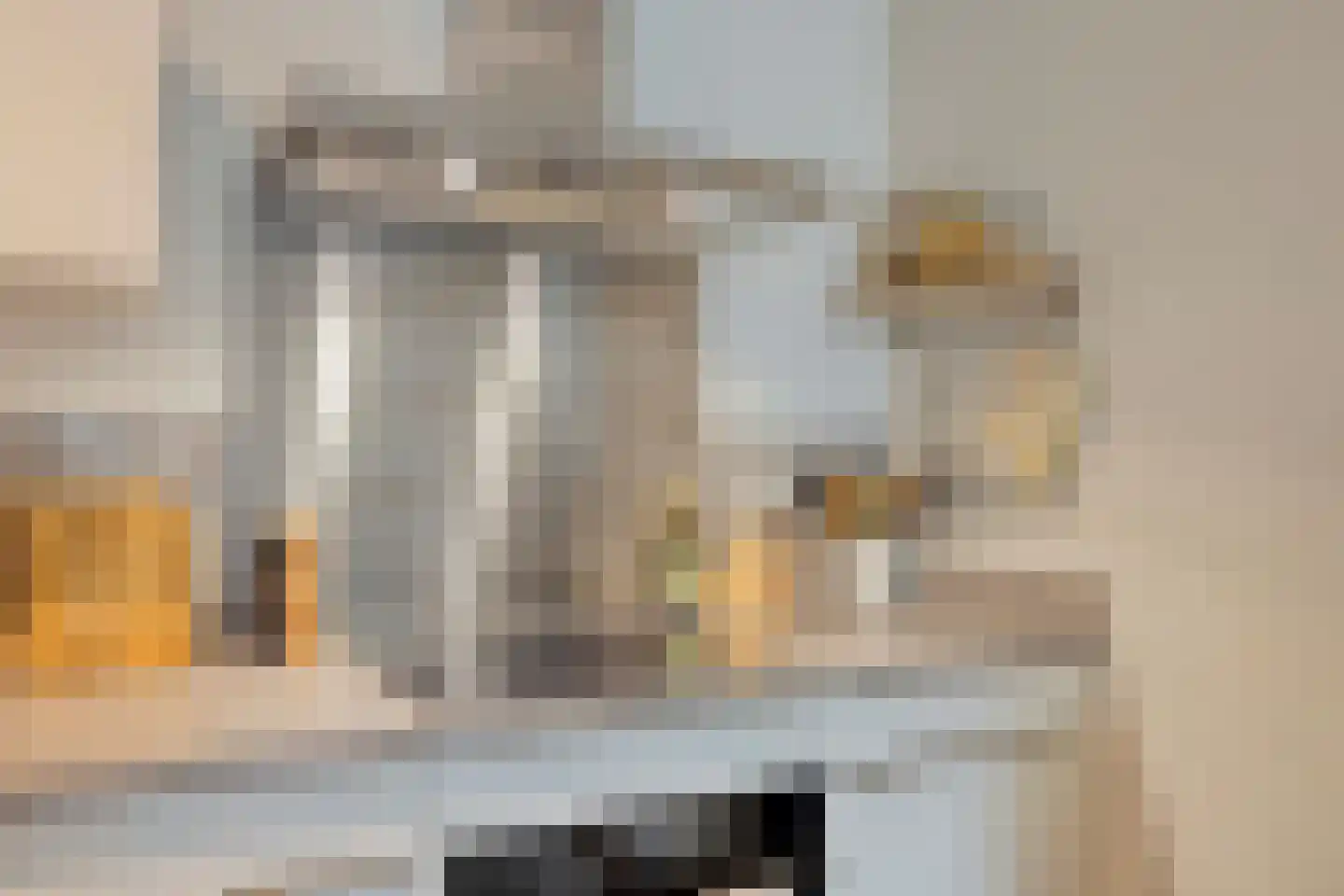Stadhouderslaan 522 Zoeterwoude thumbnail 10
