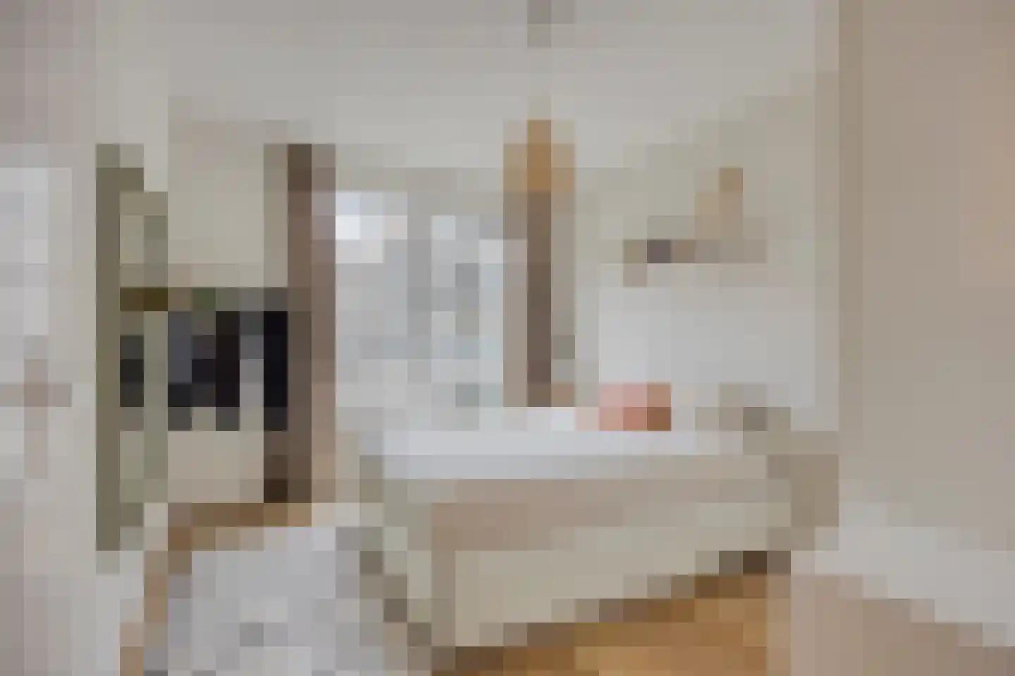 Stadhouderslaan 522 Zoeterwoude thumbnail 18