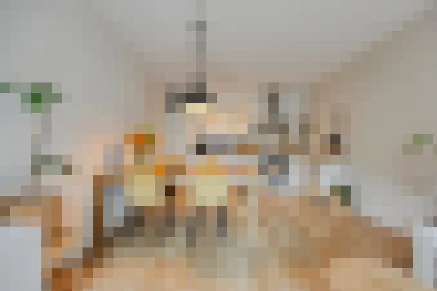 Stadhouderslaan 522 Zoeterwoude thumbnail 4