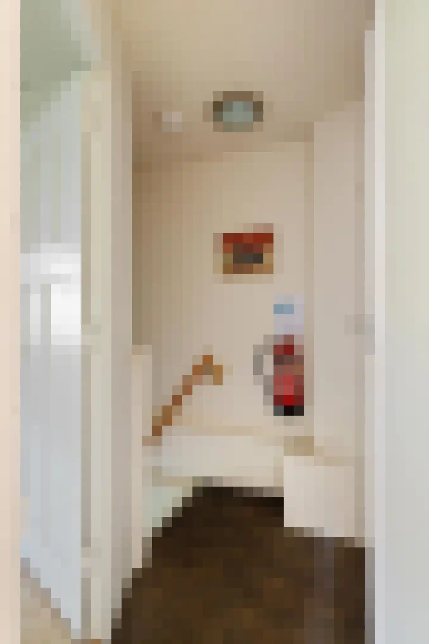 Stadhouderslaan 56 a Groningen thumbnail 31