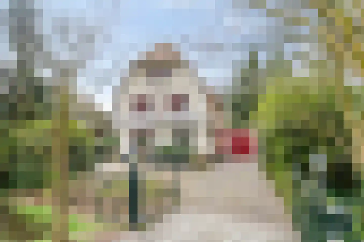 Stadhouderslaan 59 Soest